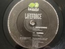 Life Force - Awakening / Karma 12” Electronic Progressive House