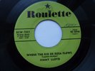 JIMMY LLOYD 45 'WHERE THE RIO DE ROSA FLOWS' USA ROULETTE 1957 ROCKABILLY VG+