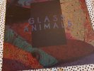 Glass Animals – Black Mambo/Exxus - 12