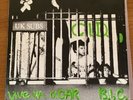 UK Subs, CID, 1st Pressing, Orange vinyl record 1978
