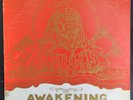 THE PHARAOHS AWAKENING LP RARE 1971 PRIVATE CHICAGO SOUL JAZZ ON SCARAB