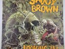 Savoy Brown Looking In 1976 Vinyl Lp PAS 71042 First Press GateFold Excellent