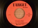 Dr. T & The Undertakers It's Easy Child/Times Have Changed FL Garage 1967 Target