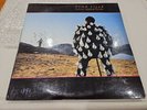 PINK FLOYD DELICATE SOUND OF THUNDER LP NON GATEFOLD VENEZUELA