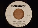 The Undertakers Just A Little Bit/Stupidity Promo Mod, Beat UK Band 1964 Parkway