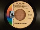 Unrelated Segments Cry, Cry, Cry/It's Not Fair Promo CRAZY RARE  Garage Punk