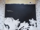 HOPE SANDOVAL & THE WARM INVENTIONS BAVARIAN FRUIT BREAD VINYL LP MINT