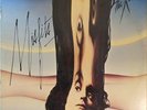 The Kinks - Misfits - Near Mint - Vinyl LP Album Stereo - Used (NM)