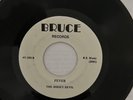 Bruce Springsteen  FEVER / RENDEVOUS -  7”  NEW