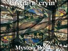 Drivin' N' Cryin' / Mystery Road / Vinyl / Indie / Post-Rock / Island Records