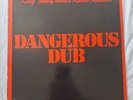 80s Dub Reggae KING TUBBY MEETS ROOTS RADICS dangerous dub 1981 UK Vinyl LP
