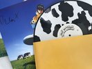 NEW SIGNED Declan McKenna Cow Print Vinyl Record - What Happened To The Beach?