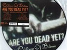Children of Bodom - Are You Dead Yet? - Vinyl LP Picture Disc  RARE  MINT