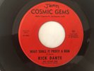 '60s Los Angeles Folk Pysch 45 RICK DANTE What Shall It Profit A Man COSMIC GEMS