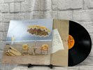 Neil Young On The Beach LP 12