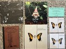 Paramore Brand New Eyes 7” Box Set CD Vinyl Book Certificate +