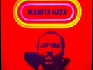 MARVIN GAYE 