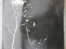Darkthrone ‎– Under A Funeral Moon LP UK BLACK METAL 33T