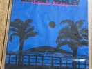 Robert Ashley - Automatic Writing - 2019 reissue - Electronic Music Experimental