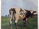 PINK FLOYD ATOM HEART MOTHER ODEON OP80102 JAPAN RED VINYL LP