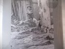 LP PUNK  INOCENTES Miseria E Fome E Mais Brazil Hardcore Sealed Olho Seco Colera