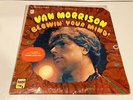 VAN MORRISON 