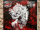 INSECT WARFARE / HATRED SURGE Split 7