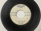 Chips 1960 DOO WOP ROCKER 45 As You Can See/You Make Me Feel SATELLITE VG++ HEAR