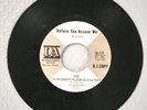 1960's Rock 45  The Thirteenth Floor Elevators  Before You Accuse Me