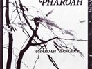 PHAROAH SANDERS Pharoah INDIA NAVIGATION IN 1027 US 1977 ORIGINAL SEALED Jazz