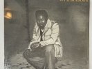 MARTEL ROBINSON Let It Be Known RAY UK Rockers Roots Reggae LP HEAR