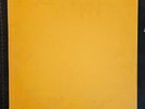 BOB DYLAN Great White Wonder 2 LP ORANGE VINYL 22642