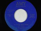 Funk/Deep Soul 45 - Lee Dorsey - A Lover Was Born - Amy - VG+