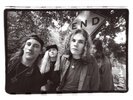Smashing Pumpkins Rotten Apples (Greatest Hits) (Vinyl) 12