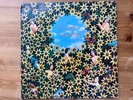 Wizz Jones Magical Flight UK 1st issue Plant Life LP insert stunning Folk Psych