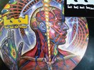 Tool Lateralus - Ocean Of Love Bliss - Alex Grey  Limited 2 LP  *Sealed*