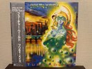 Pretty Maids / Future World (28·3P-811) W/OBI / '87 Press Vinyl LP