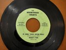 Neighbr’hood Childr'n - Rare Promo 7” - Up, Down, Turned Around/Maggie’s Farm