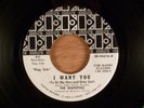 The Waphphle  I Want You (To Be My One And..)/Goin' Down Promo RARE Garage Psych