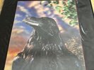 The Stranglers The Raven 3D Sleeve Ogre And Map Over Nuclear Device