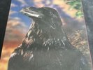The Stranglers The Raven 3D Sleeve No Graphic Over Nuclear Device