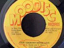 Fitz Major - Our Country Needs Love  / Love Your Country NM Moodisc