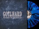 GOTTHARD - Need To Believe LP Vinyl - RARE Limited Edition 70 copies worldwide