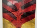 Extraordinary Show Your Bones by Yeah Yeah Yeahs (Record, 2006)