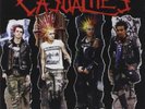 The Casualties Die Hards (Vinyl LP) 12