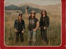 The Cadillac Three: Country Fuzz (2 Vinyl) - New & Sealed