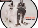 David Bowie – Diamond Dogs - 7' picture disc 2014