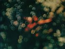 Pink Floyd Obscured By Clouds + BOOKLET, INSERT JAPAN EMI Vinyl LP