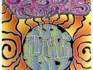 Ozric Tentacles - at the Pongmasters Ball - 2xLP -Reissue -180g Vinyl-NEW/SEALED