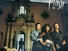 Plush Plush LP Vinyl NEW